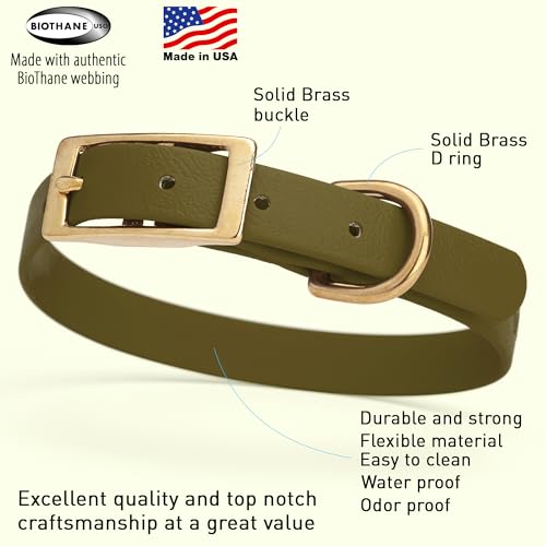 Image of Viper Biothane Heavy Duty Waterproof Dog Collar Strong Coated Nylon Webbing w /Solid Brass Hardware Odor-Proof Easy to Clean High Performance Fits Small Medium or Large Dogs, Olive Drab Green