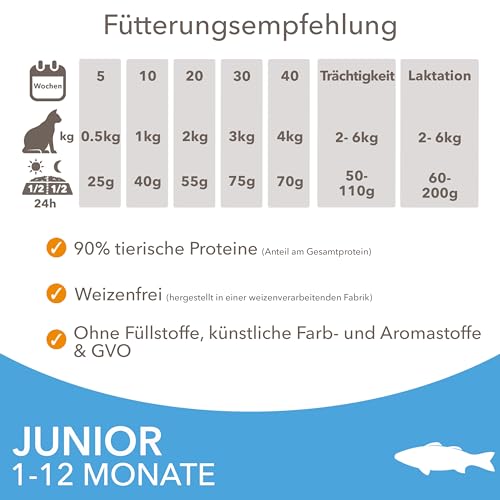 IAMS Junior Katzenfutter trocken mit Fisch - Trockenfutter für Kitten im Alter von 1-12 Monaten, 3 kg