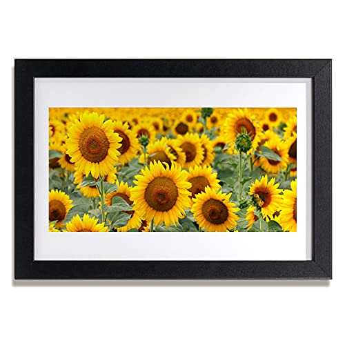 Affiche encadrée 30x20 image murale photo fleurs Sunflowers cadre MDF Tulup salon