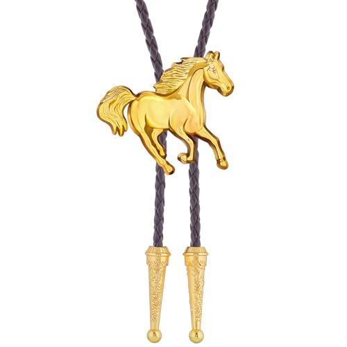 Image of Jeilwiy Bolo Tie for Men, Western Bolero Tie Cowboy Ties Native American Cowgirl Bolo Tie Accessories for Men Women