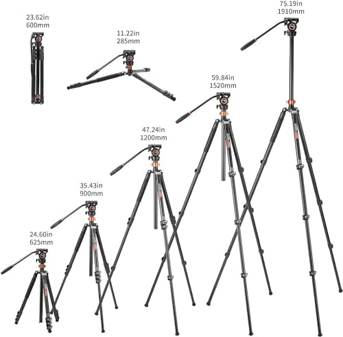 Cayer Video Tripod, 75 inches Aluminium Tripod, 4-Section Compact Camera Tripod Convertible to Monopod for DSLR Camera, Load Capacity up to 13.2 PoundsFP2450 Black