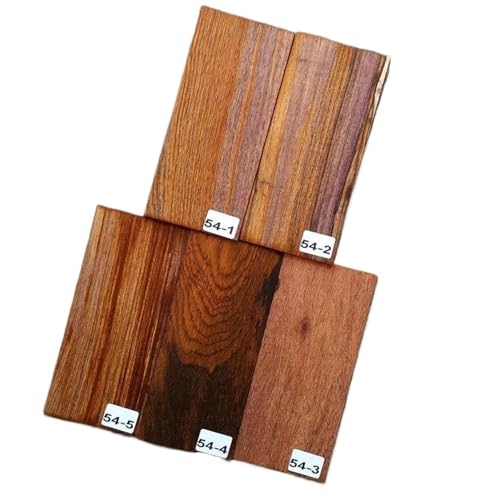 M^[p؍ 5̃M^[wbhXgbNxjAwbhv[gV[Yޗ(54)