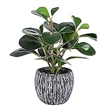 Fake Plants Mini Potted Artificial Plants Real Looking Plastic Fiddle Leaf Plantas Artificiales...