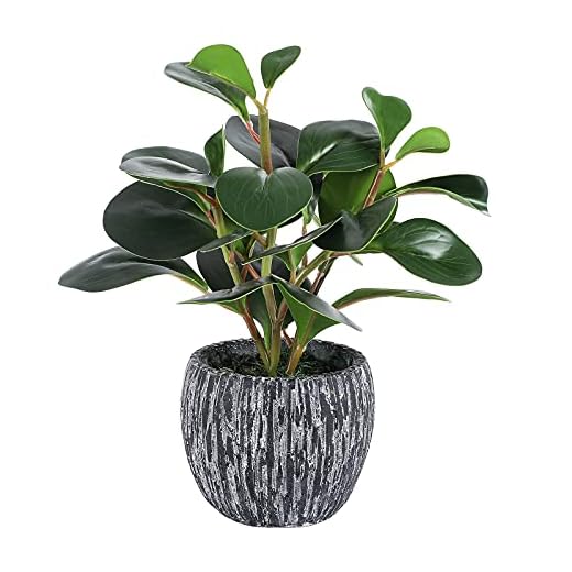 LORYDECO Artificial Potted Plants, Real Looking Fiddle Leaf Fake Plant with Pot, Plastic Watercress Leaves Small Faux Trees with Cement Planter, Greenery Plant Table Decor for Home Indoor