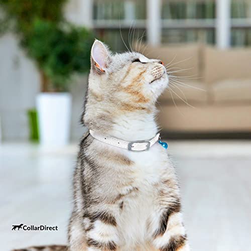 Image of CollarDirect Leather Cat Collar, Cat Safety Collar with Elastic Strap, Kitten Collar for Cat with Bell Black Blue Red Orange Lime Green (Neck Fit 9 inch-11 inch, White)
