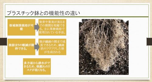 プランター 不織布 5ガロン 10枚セット 野菜 植物 園芸 エコ