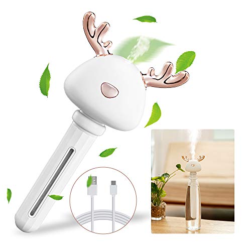 CHOYUE Mini Cool Mist Humidifier - for Travel,Office,Home,Car