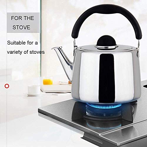 Teapot en acier inoxydable SHISHI 3L pour induction et gaz - 6