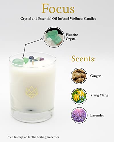 Aluminate Life Luxury Glass Jar Candle, 14.5 Oz, Focus - Fluorite Crystal Infused - Scents Of Orange, Ginger, Ylang-Ylang, & Lavender - Awareness, Mental Order, & Clarity - Coconut Wax Blend #TOP2