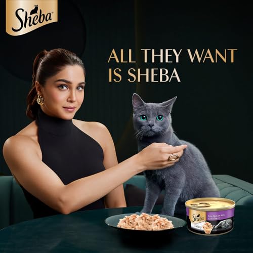 Image of Sheba Deluxe Premium Adult (1+ Years) Wet Cat Food, Tuna Fillets in Jelly, 85 g Can, High-moisture wet food for healthy hydration