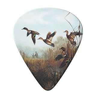 Hunting Flying Wild Lot de 6 médiators pour guitare acoustique, guitare électrique, basse, ukulélé – fins, moyens et… - Les Beatles, Paul McCartney, John Lennon, RIngo Starr, George Harrison Hunting Flying Wild Lot de 6 médiators pour guitare acoustique, guitare électrique, basse, ukulélé – fins, moyens et… – Image 3