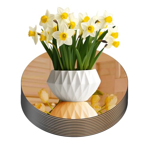Yuzeyurun Glass Round Mirror Centerpieces for Tables, Set of 12Pcs