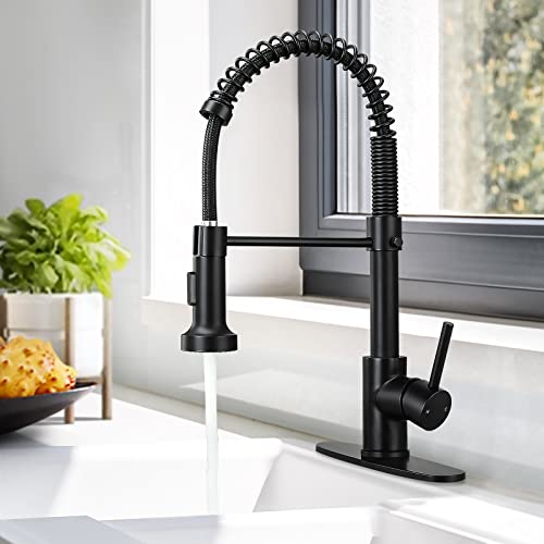 DJS Kitchen Faucets with Pull Down Sprayer Matte...