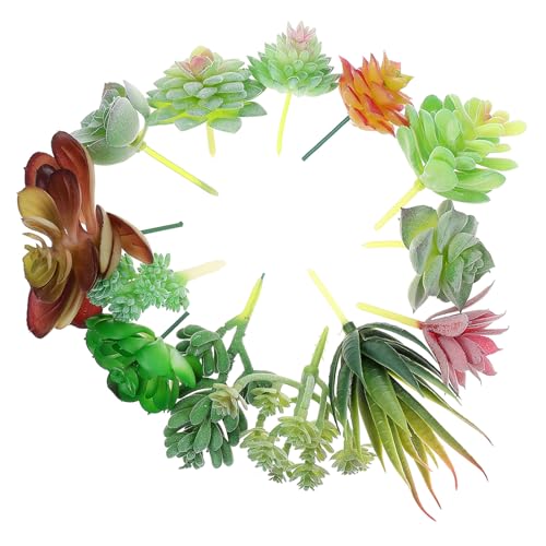 Abaodam 13 _lHAsbN tFCNO[CeA VNFpV~[gO[ϗtA