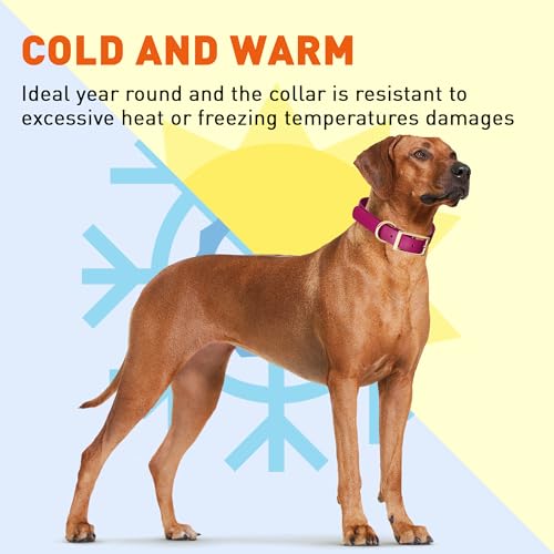 Image of Viper Biothane Heavy Duty Waterproof Dog Collar Strong Coated Nylon Webbing w /Solid Brass Hardware Odor-Proof Easy to Clean High Performance Fits Small Medium or Large Dogs, Magenta Pink