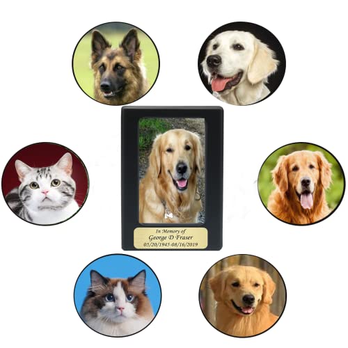 Newdream:pet Cremation Box,Pet Urns, Dog Cremation Box For Ashes, Ash Box For Cat Or Dog, Dog Urns For Ashes Wood Keepsake Memorial Urns. （Black M ） #TOP5