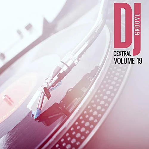 Dj Central Groove Vol, 19