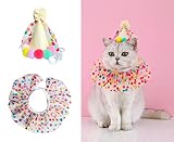 Katze Hund Prinzessin Kostüme Welpe Katze Geburtstag Bandana Schal und Party Hut Niedliche Spitze Hund Lätzchen Schal und Geburtstagsmütze Hund Katze Geburtstag Party Dekorationen Set