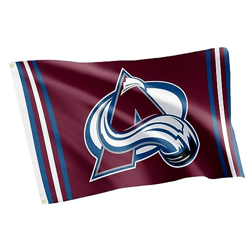 Desert Cactus Colorado Avalanche Flag NHL 100% Polyester Indoor Outdoor 3x5 feet National Hockey League Team Flags (Flag E)