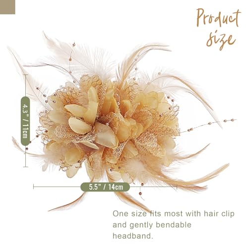 Image of DRESHOW Womens Fascinators Hats Tea Party Hats for Women Pearl Lace Feather Hat Vintage Derby Hats for Wedding Cocktail