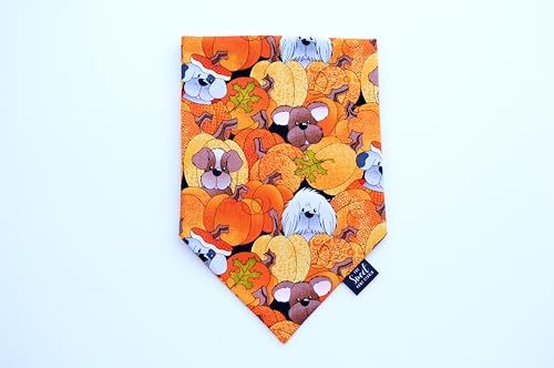 The Sweet Home Studio Fall Over The Collar Dog Bandana, Harvest Slip On Pet Bandana, Thanksgiving And Halloween Dog & Cat Accessory  thumb #6