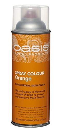 Spray Paint by Oasis 400 ml Cans Fresh Flowers & Crafts Florist - 42 Colours (Orange)