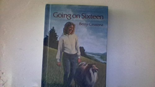 Good Wives B000GROPQC Book Cover