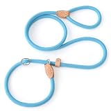 ALL-IN-ONE DOG SLIP LEAD: Combines a leash and collar into one simple, convenient design. No need for a separate collar or harness. Features an adjustable loop with a premium leather stopper for quick and easy slip-on/slip-off use, perfect for traini...