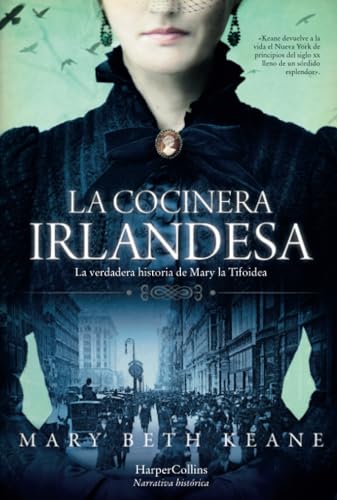 La cocinera irlandesa. (Spanish Edition) [Spanish] 8491393846 Book Cover