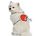 Littlearth NFL Pet Fain Chain Cleveland Browns