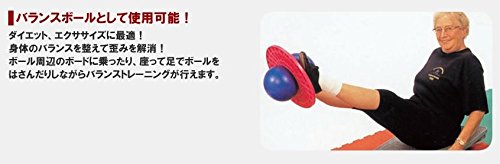 【 遊びで身につくバランス感覚 】 ポンプ付き アウトドア 
