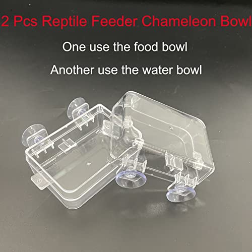 Tfwadmx 2 Pcs Chameleon Bowl, Reptile Feeding Food, Water Dish Gecko Worm Feeder Anti-Escape Chameleon Supplies Accessories For Lizard Bearded Dragon Snakes #TOP1