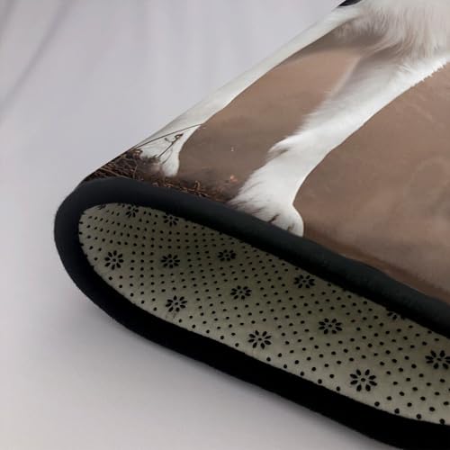 Tapis de salon imprimé Border Collie grand format pour protéger le sol des griffures