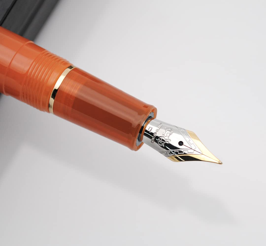 Amazon.co.jp: JINHAO 82 万年筆 ゴールドクリップ付き (ペン先F 0.5mm
