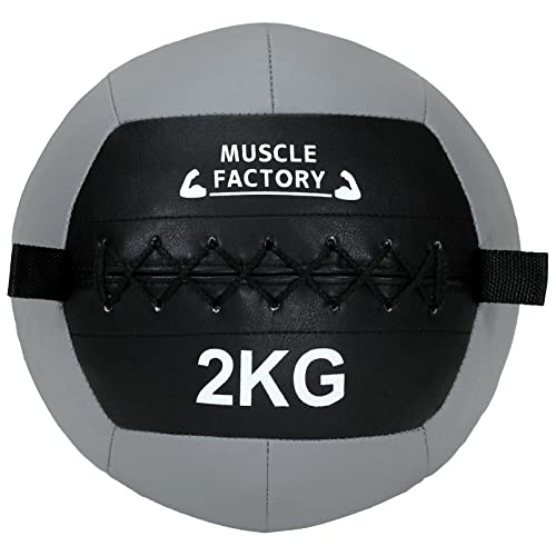 MUSCLE FACTORY fBV{[ 2kg \tg g[jO {[ EGCg{[ ̊ ؃g  Z tBbglX ؃g (O[)