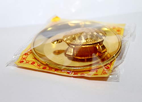 Estatua de latón Tortuga con plato IS4A miniatura 5