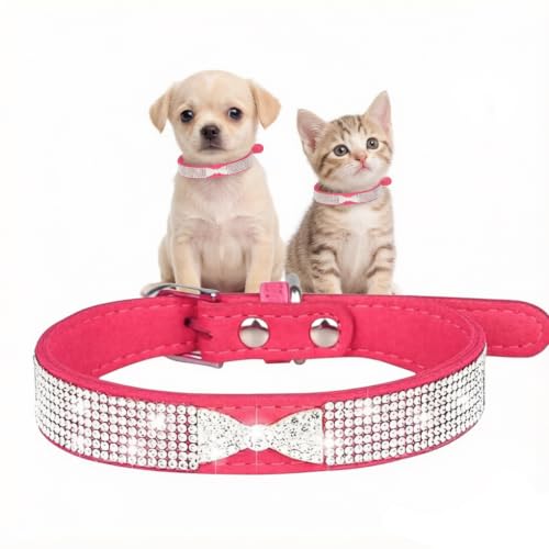 Collar de perro pequeño con diamantes ajustable que no daña el pelo 2
