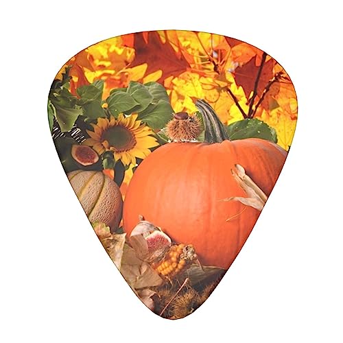 Autumn Leaves Happy Thanksgiving Day Lot de 12 médiators tendance et durables en forme de citrouille pour ukulélé guitare électrique basse - Les Beatles, Paul McCartney, John Lennon, RIngo Starr, George Harrison Autumn Leaves Happy Thanksgiving Day Lot de 12 médiators tendance et durables en forme de citrouille pour ukulélé guitare électrique basse