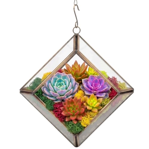 D'Eco Glass Mini Diamond Display (5x5x3.5) - Hanging Planter Terrarium - Spring and Easter Home & Wedding Decor - Fill w Succulents, Moss, Colorful Eggs, Bunny Rabbits, Grass - Gift for Plant Lovers