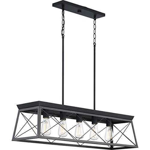 Progress Lighting P400048-031 Briarwood Chandeliers, Ceruse Black #TOP5