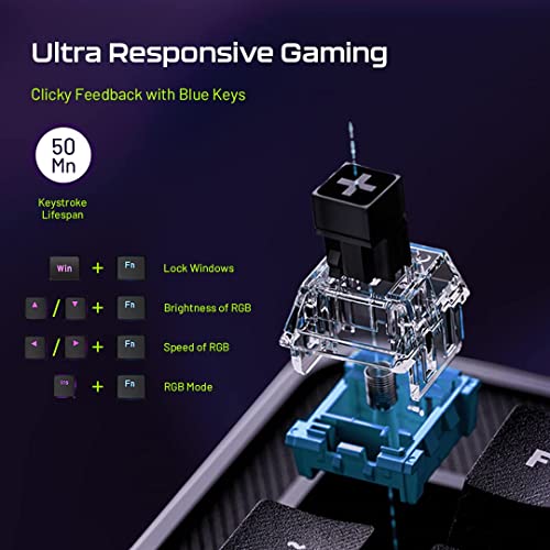 Image of Archer Tech Lab Mechanical Gaming Keyboard, Clicky JERRZI Blue Switches, Full Anti-Ghosting Keys, 21 RGB Modes LED Backlit & Music Visualizer, Braided USB-C Cable, PC /Mac /Linux - Software Customizable