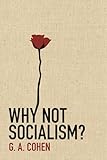 Why Not Socialism?