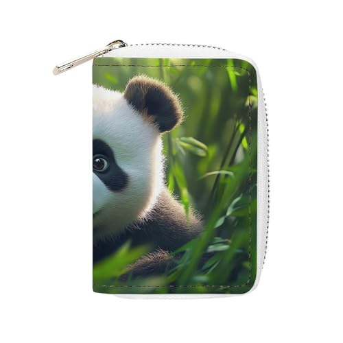 [NNEFC.] 킢p_ J[hP[X J[h {v ܂ Y fB[X NWbgJ[hP[X hP[X XL~Oh~ e @\ y Ch~ 20J[h[ Wbp[ o₷ v[gp