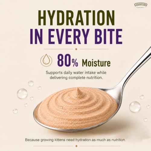 Image of Grain Zero Kitten Wet Mousse 80g Pack of 5, 400g | Ocean Fish | Rich in Protein | Promotes Hydration & Easy to Digest | No Artificial Flavours |Packed with Essential Vitamins & Antioxidants