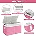 Bagnizer Large Toy Storage Box with Lids, Collapsible Sturdy Baby Storage Organizer Chest Bin Basket for Kids, Boys, Girls, Playroom, Nursery, Bedroom, Closet 25