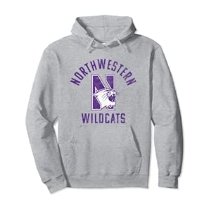 Northwestern University Wildcats Large Pullover Hoodie