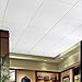 Armstrong Ceiling Tiles; 2x4 Ceiling Tiles - Dune Item 1773-8 pcs White Lay-in
