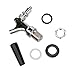 Blazin Watermelon Tap - Brass and Chrome Keg Kit - Pumpkin Fruit Ice Tea Drink Dispenser