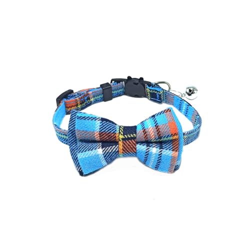 L t q TCY\  ѕt `FbN y ˂ qL ybg ybg S Lp p ybgp (u[)