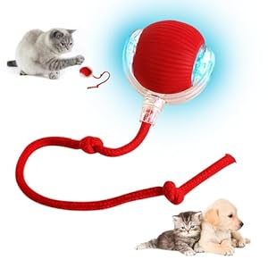 SFSSHUI Jouet Interactif pour Chat, Jouet Intelligent pour Chat, Balle Roulante Automatique, Boule électrique Chargement USB 360° à Roulement, Balle Mouvement irrégulier pour Chien Chat (1pcs)